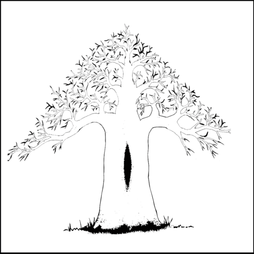 Der Baobab Baum