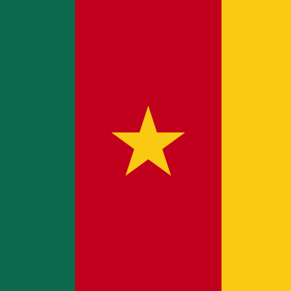 Read more about the article Cameroon