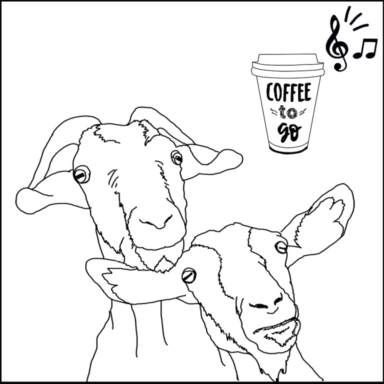 Lire la suite à propos de l’article Une chèvre a découvert le café