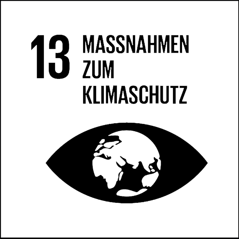 Read more about the article SDG 13 Klimawandel stoppen