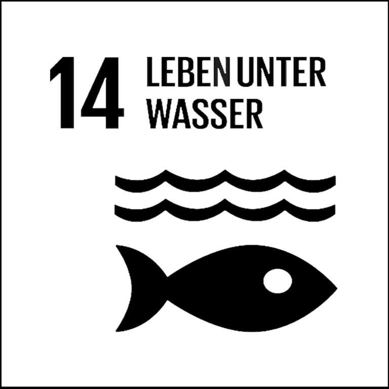 Read more about the article SDG 14 Leben unter Wasser schützen!