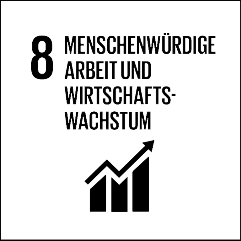 Read more about the article SDG 8, Menschenunwürdige Arbeit abschaffen!
